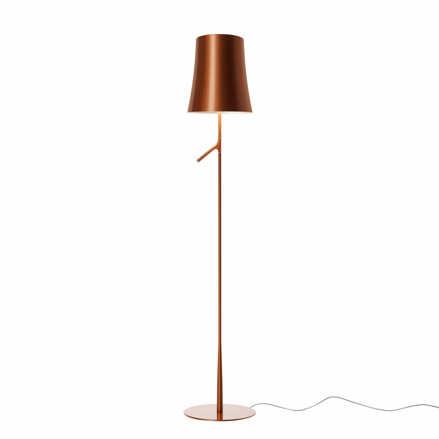 Birdie-lettura_f_copper_00