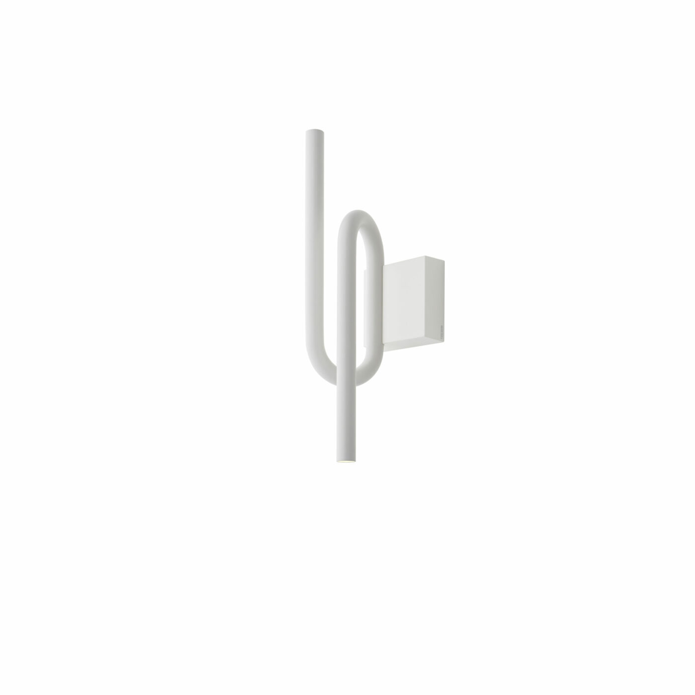 Tobia_w_white_00