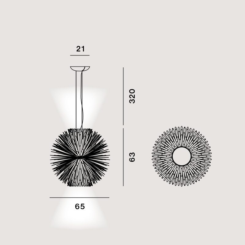 sun-light-of-love_susp