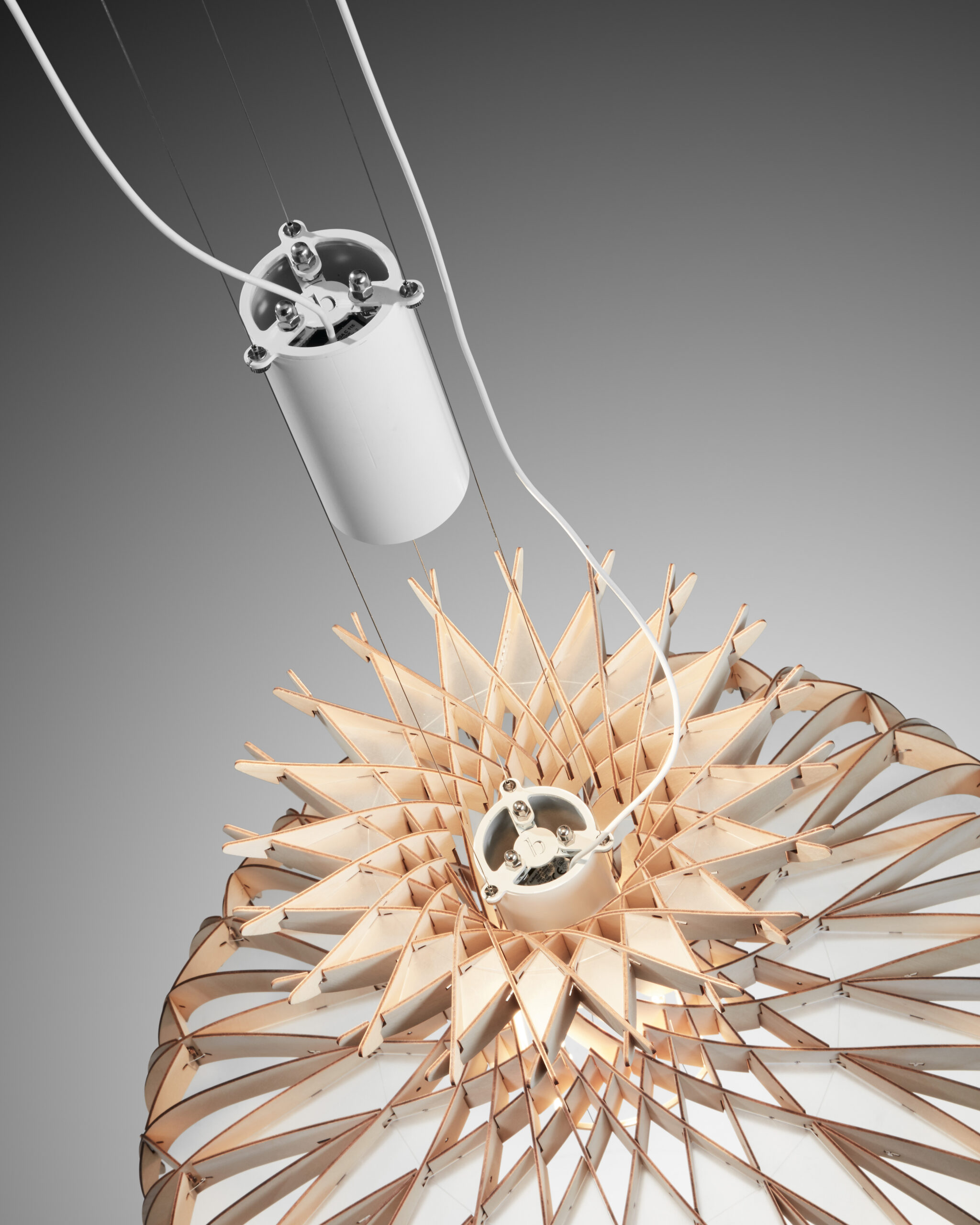 dome 60 detalle