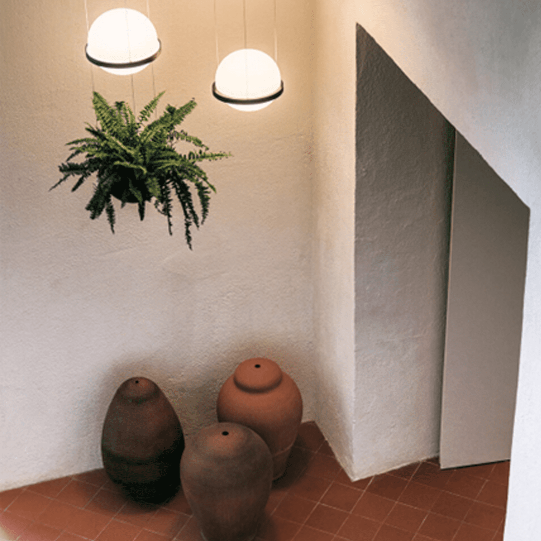 Cómo decorar con plantas de interior